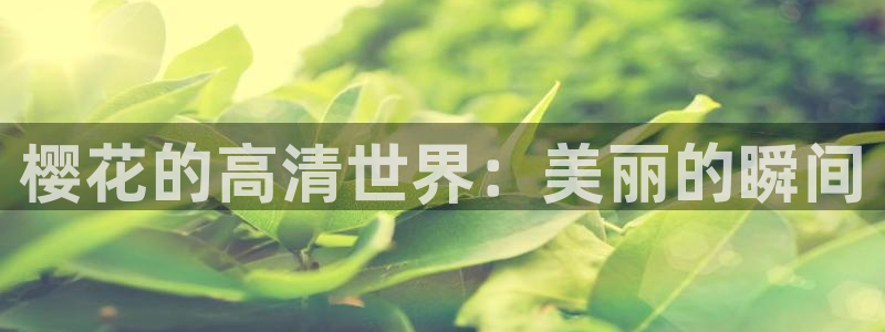 天美星空影视