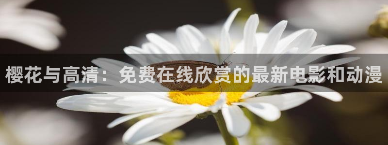 在线影院星空