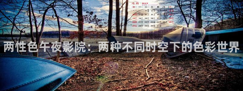 麻豆电影高清电影好看的电视剧推荐