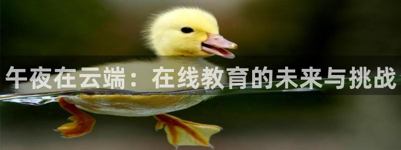 麻豆电影免费观看高清完整版