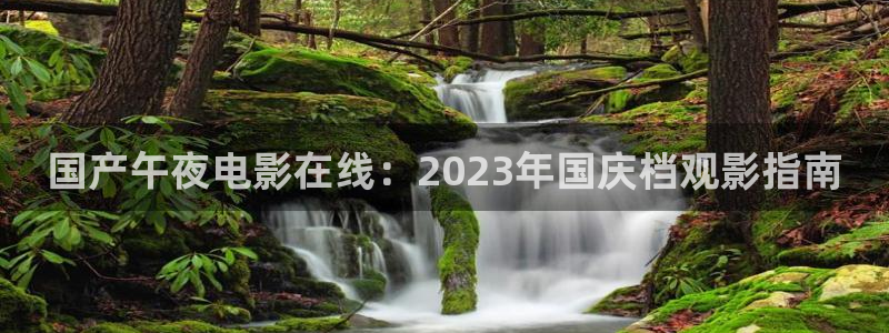 星空视频免费观看电视剧电影大全