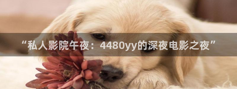 星空视频素材