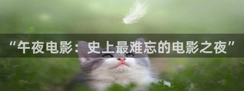星空视频播放