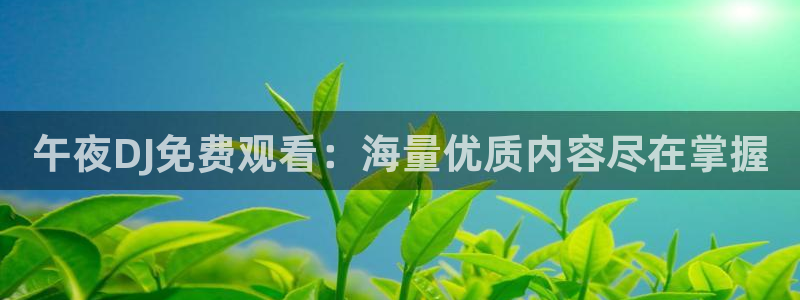 星空传媒在线播放