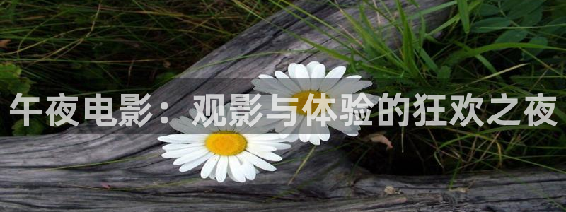 麻豆电影在线观看全集免费高清电视