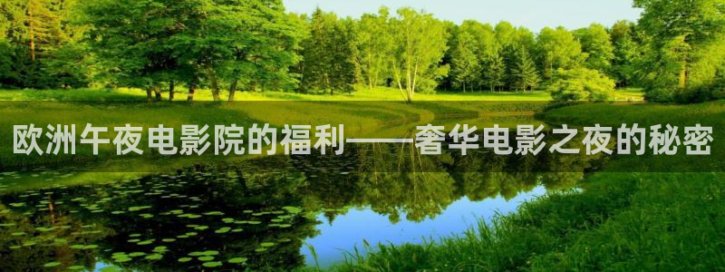 星空影视免费观看电视剧高清