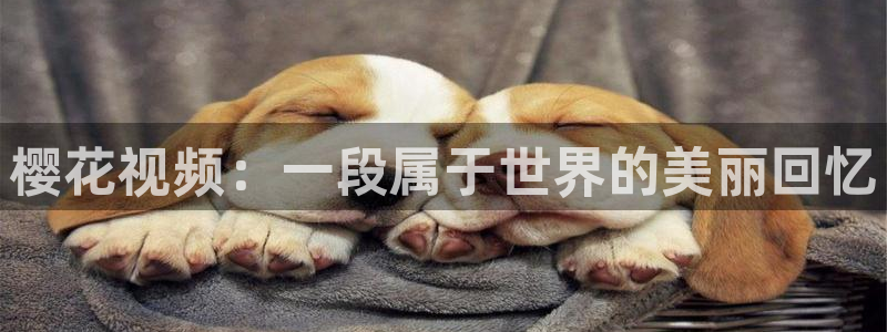 麻豆电影大全在线观看完整