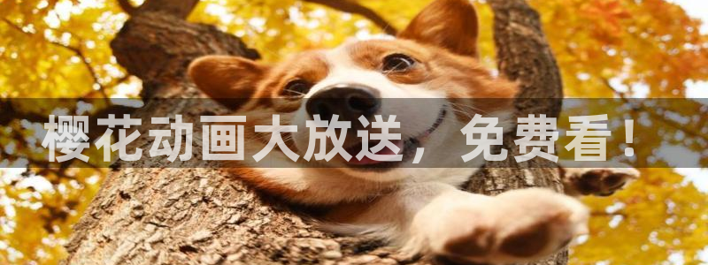 妈妈的朋友星空影视