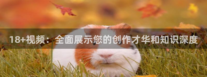 星空无限传媒在线观看免费高清电视剧