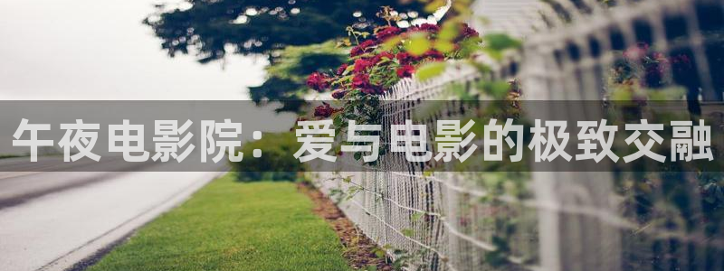 无锡星空今日影讯
