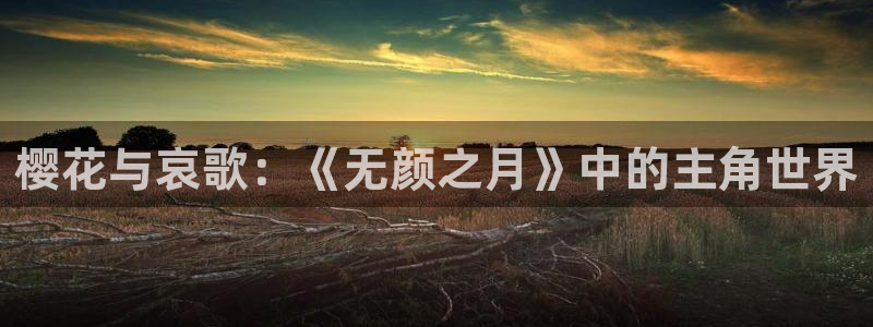 那片星空那片海免费观看全集