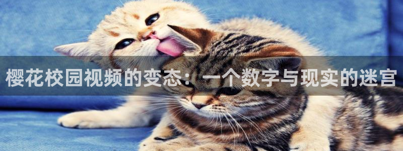 星空国际影城