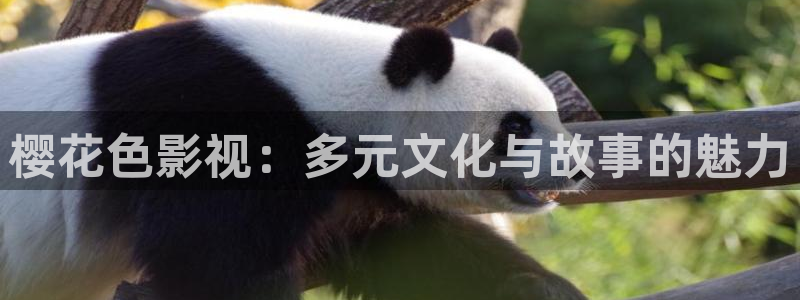 星空视频在线免费观看