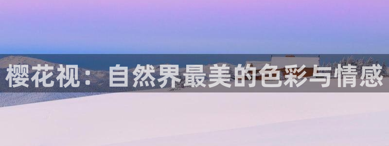 麻豆电影在线观看电视