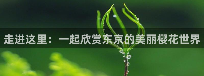 星空影视 影视大全