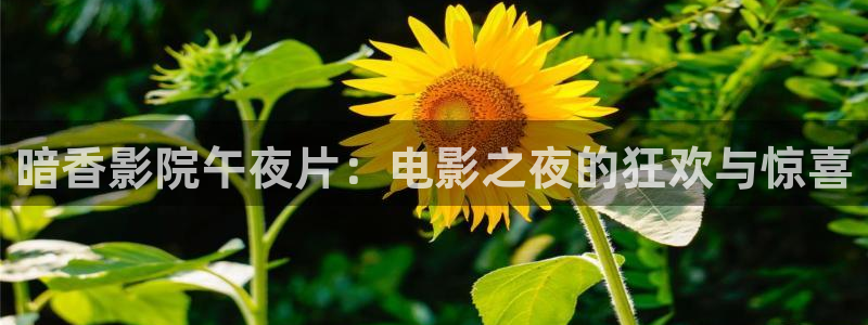 麻豆电影在线观看免费视频