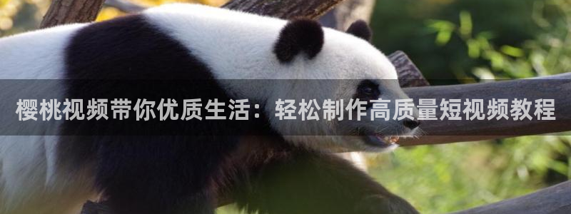 星空影视免费观看电视剧高清