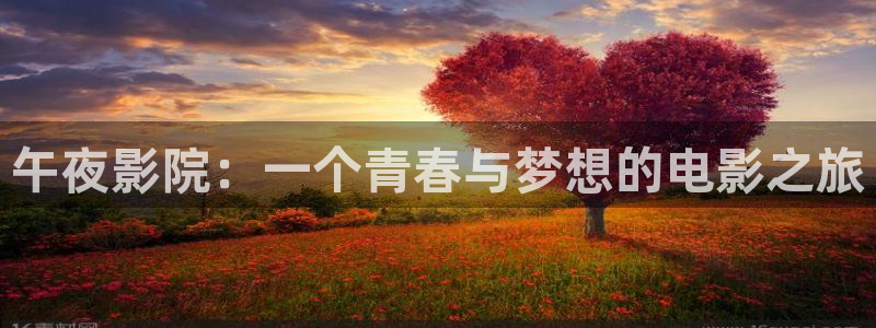 星空影视会员