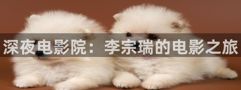 不忠麻豆电影