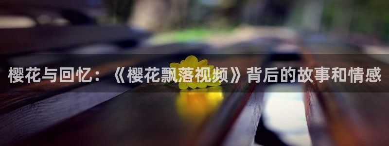 麻豆电影伦理