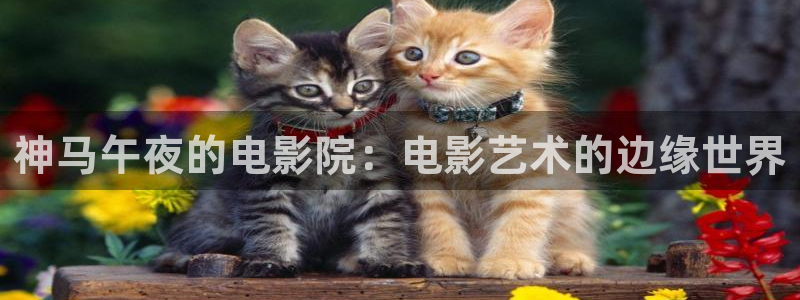 星空无限传媒高清电视剧在线观看