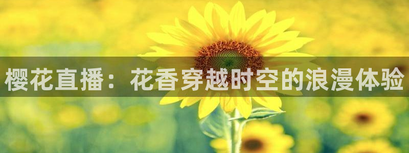 星空观看