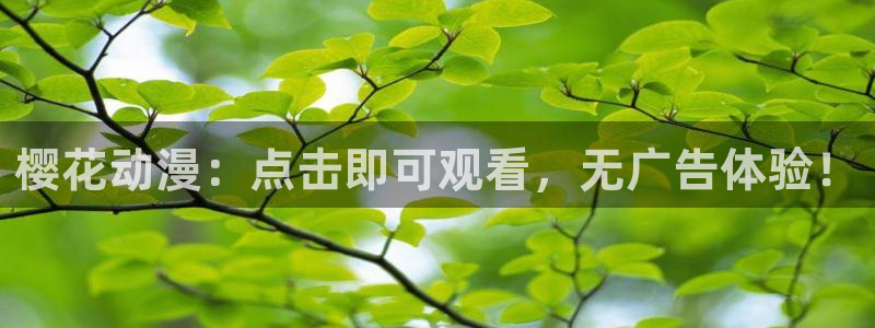 星空影视壁纸