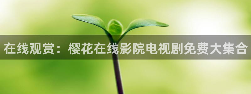 微影时光麻豆电影
