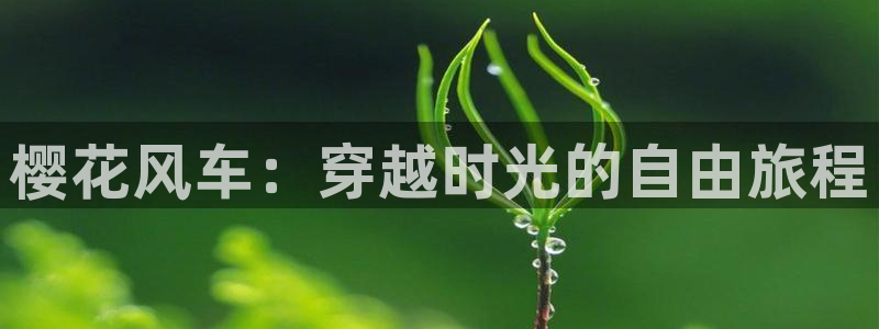 麻豆电影免费观看在线高清下载