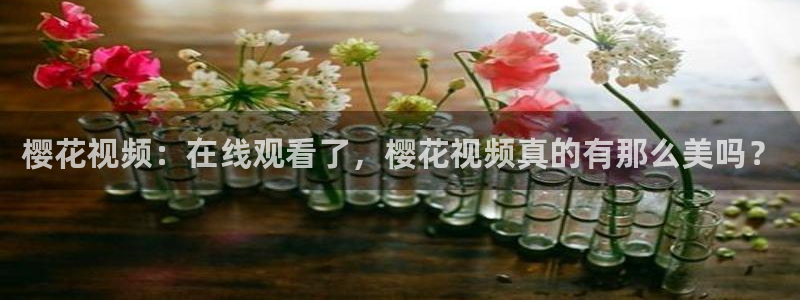 星空星辰影院官网入口