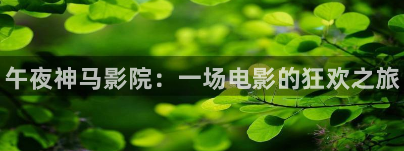麻豆电影电影在线看