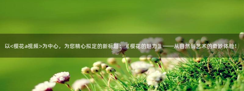 麻豆电影电视免费观看手机版