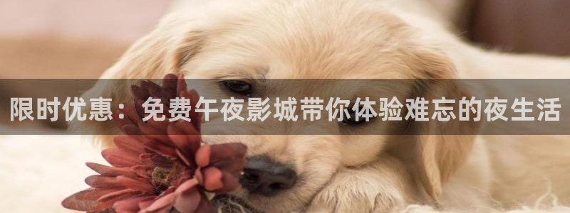 星空影视传媒在线免费观看