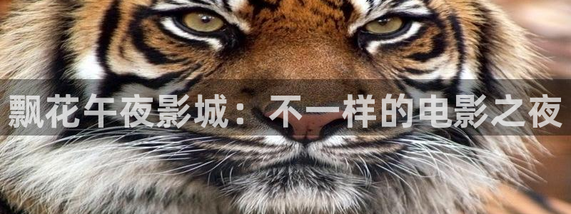 星空电影院免费观看