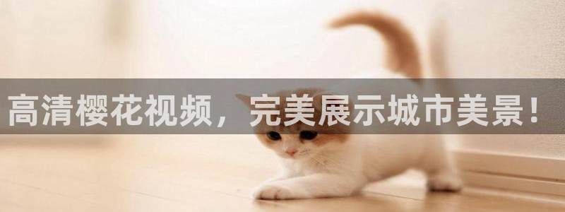 星空影音